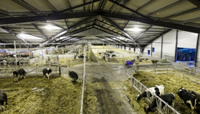 Аграрії отримають 220 млн грн компенсації вартості будівництва тваринницьких ферм