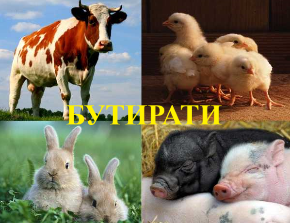 БУТИРАТИ – ПРИРОДНІ СТИМУЛЯТОРИ  РОСТУ І ПРОДУКТИВНОСТІ
