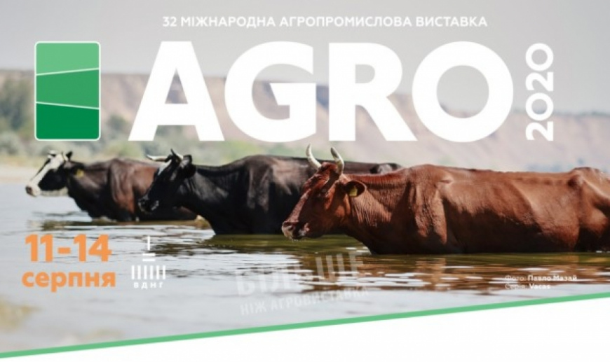 Проведення виставки «АГРО-2020» переносять на серпень