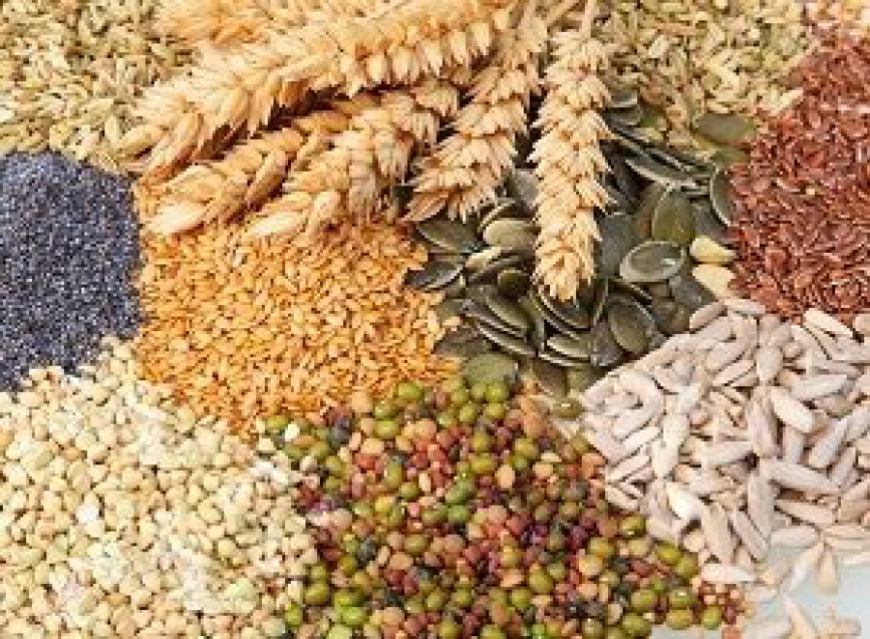 Аспекти гігієни кормовиробництва